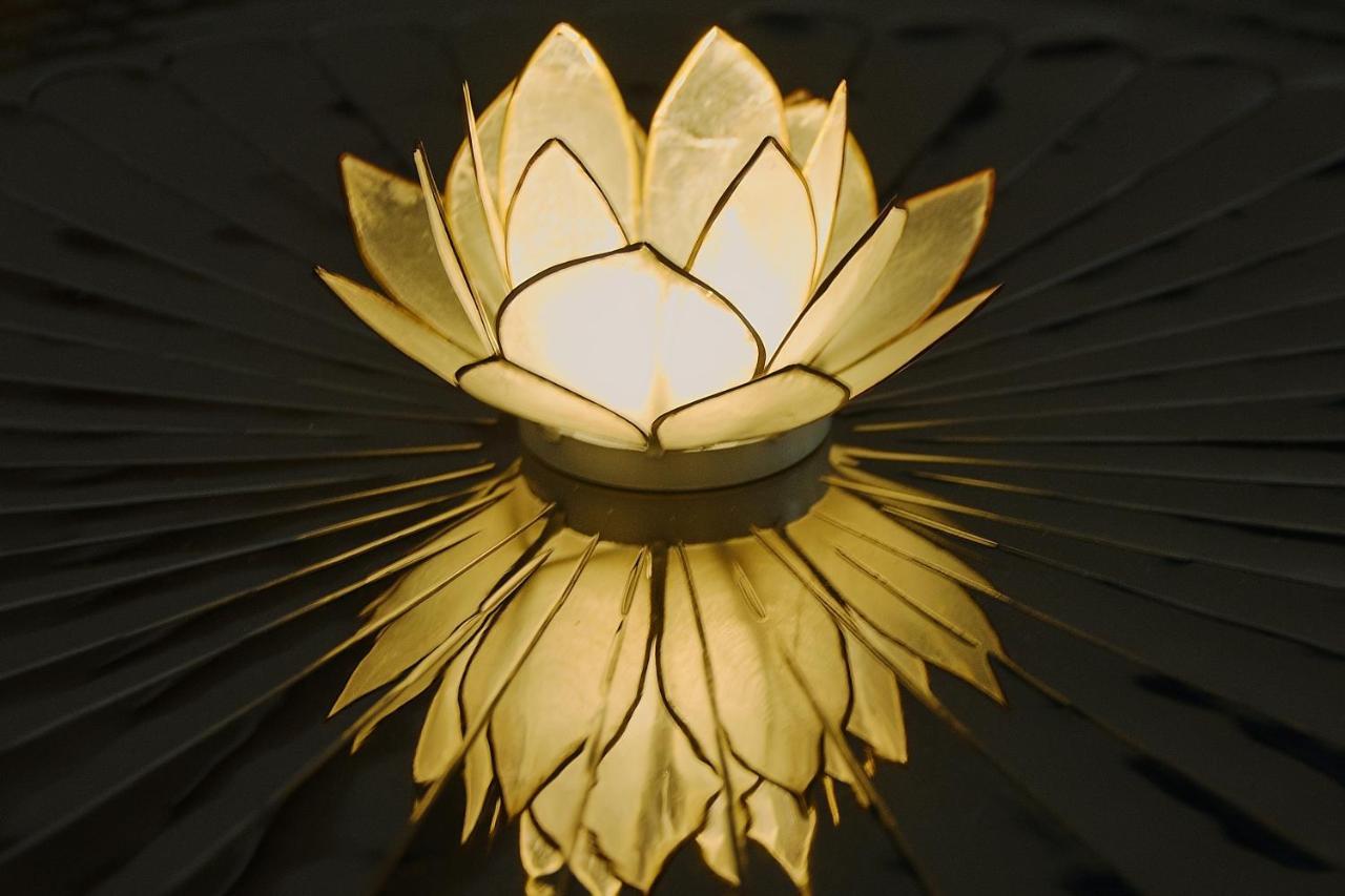 White Lotus Apartment Wiedeń Zewnętrze zdjęcie